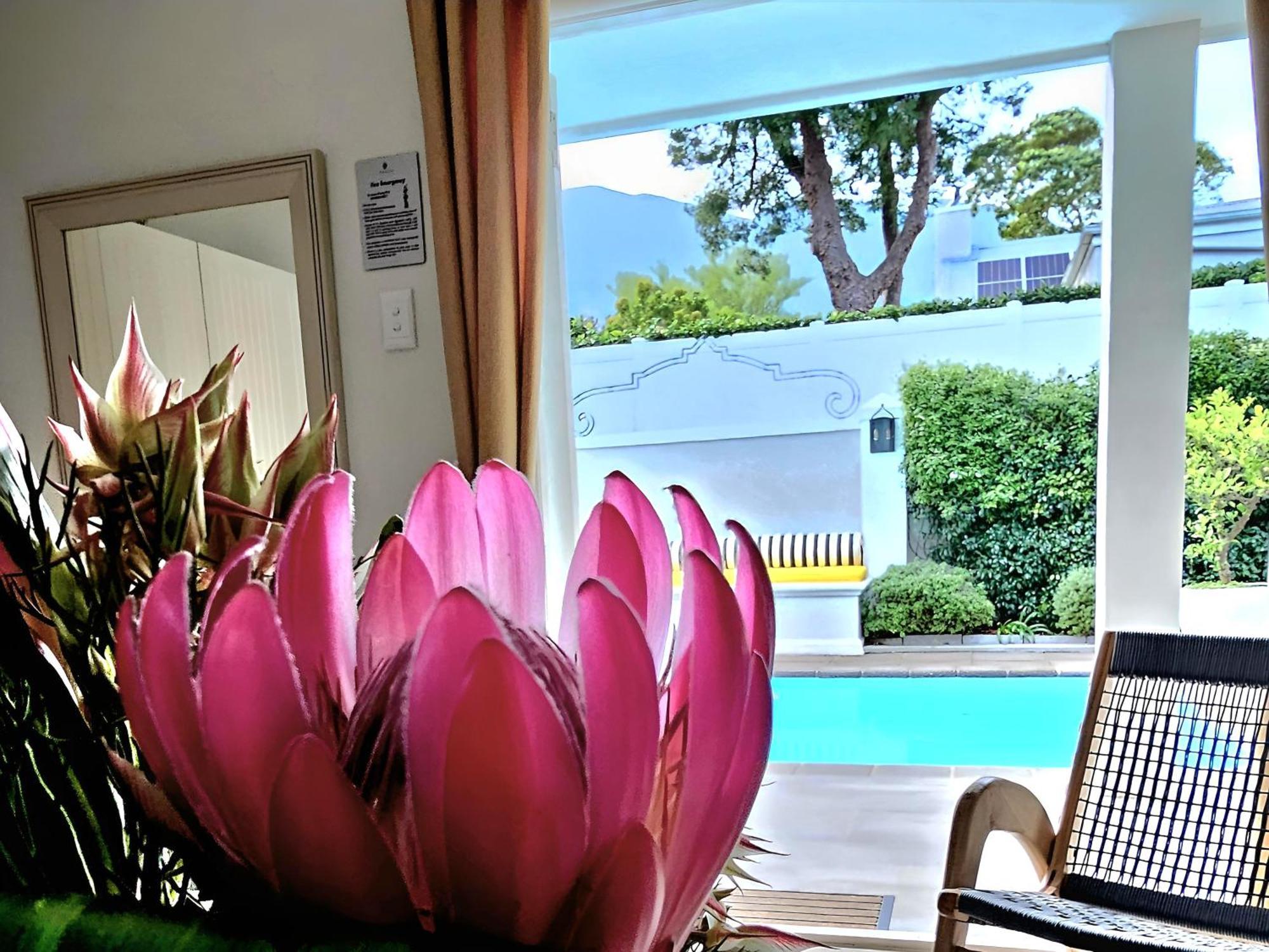 Fleur Du Soleil Luxury Guesthouse Franschhoek Exteriér fotografie